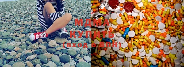 ГАЛЛЮЦИНОГЕННЫЕ ГРИБЫ Аркадак